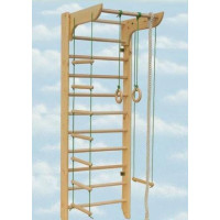 Шведська стінка з турніком і мотузковим набором